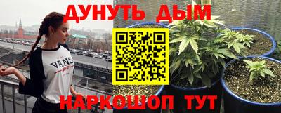 гидра Тара
