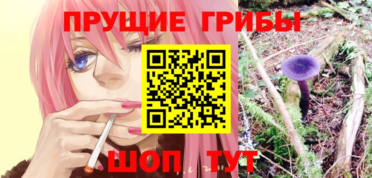 закладки  Галлюциногенные грибы мухоморы  Вход с VPN  Норильск  Псилоцибиновые грибы ЛСД 